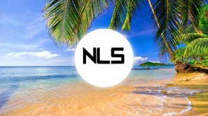 NLS MIX: SUMMER TUNES | NLS - Copyright Free