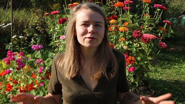 Как открыть магазин экотоваров. Как пришла идея смотреть онлайн