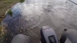 Ловля жереха осенью на воблер. Clutch SR от Lucky Craft