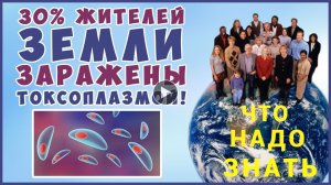 ТОКСОПЛАЗМОЗ - ЧТО НАДО ЗНАТЬ.mp4