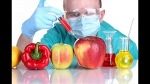 ГМО деген не