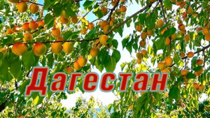 Что смотреть в Дагестане? Часть 3. Гуниб, водопад и другие красоты Дагестана ? Видео 4К