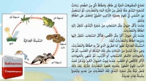 Муха летела над прудом.mp4