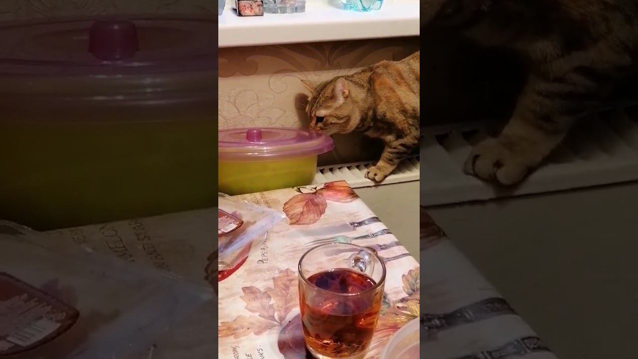 10.11.2020 смотреть онлайн