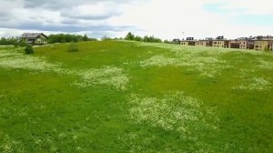 Продажа земельного участка ИЖС 5,5 га  Санкт Петербург, Мистолово