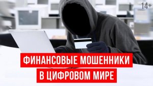 Мошенничество через интернет, сообщения и телефон. Как избежать потери денег? Светлана Толкачева 14+