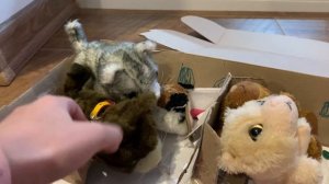 THE CAT COLLECTION \ НОВЫЕ ПРИКЛЮЧЕНИЯ КОТИКОВ в самолете читай описание