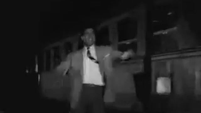 Любимец 13