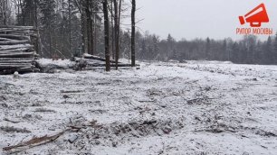 Уничтожение Троицкого леса в Новой Москве