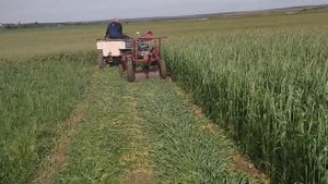 Самодельная роторная косилка - косим сидя.