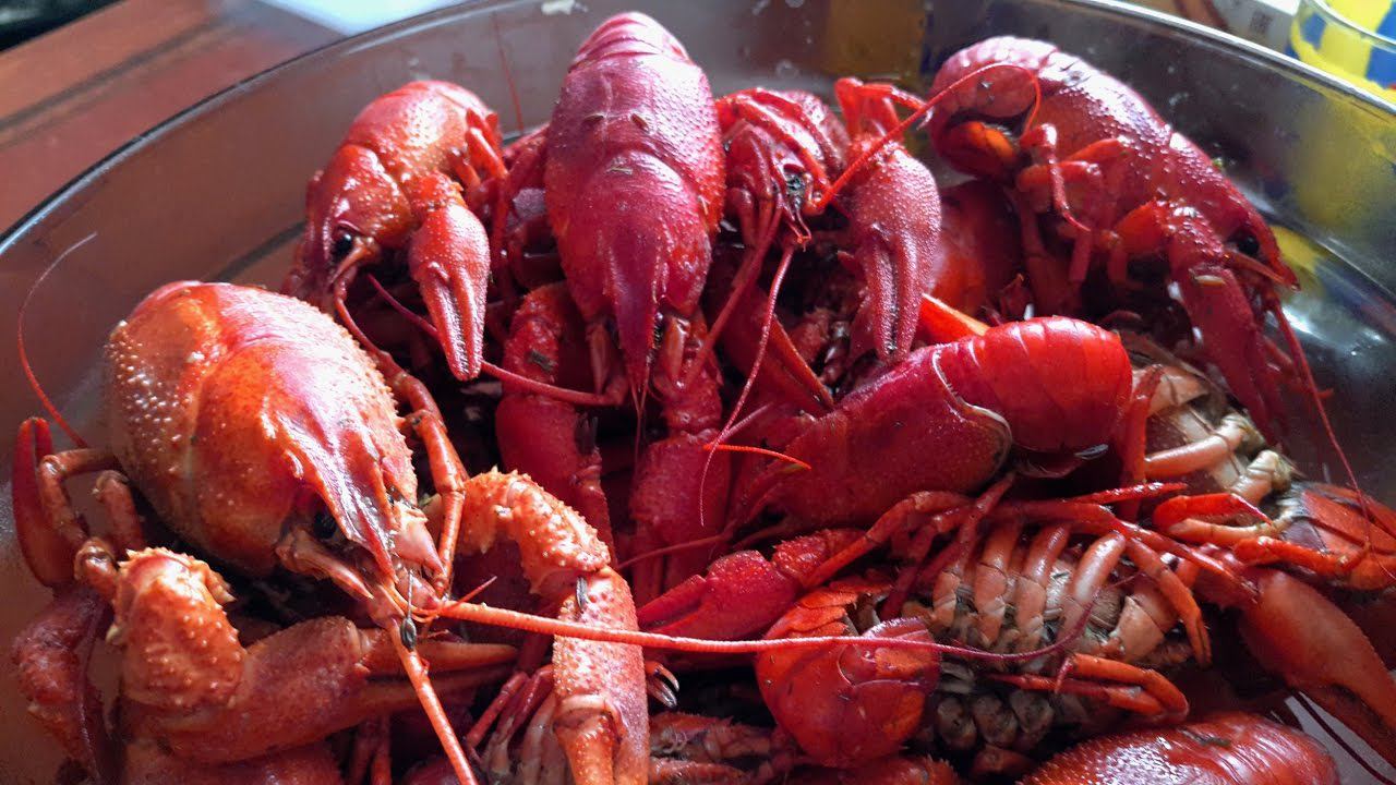 #КУХНЯ - Раки с пивом и жизнь удалась! Варим живых раков и делаем соус по заветам Славного Друже смотреть онлайн