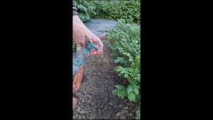 Опрыскиватель с креплением на пластиковую бутылку