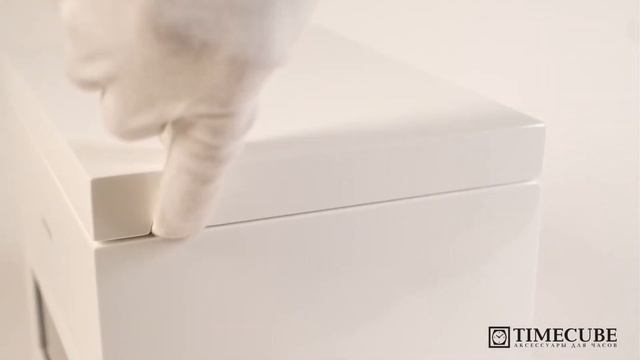 Виндер для часов Benson BS2