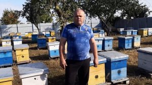 Итоги сезона 2019 - Карника, Бакфаст, Карпатка и местная.