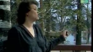 Татарский клип Хэмдуня Тимигалиева