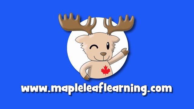 Forest Animals | Talking Flashcards смотреть онлайн