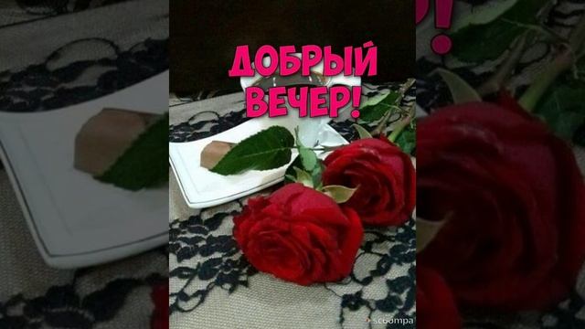 Всем теплый вечерний привет от меня❤Прекрасного вечера?
