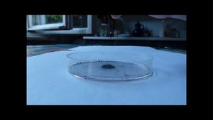 Глицерин + марганцовка (Glycerol+potassium permanganate) Self-Lighting mixture