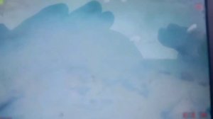 Подводная камера для рыбалки .Рыбина на карьере.