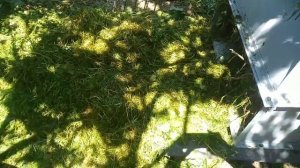 Измельчитель травы, соломы и мелких веток