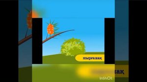 1 сынып Жаратылыстану  «Өсімдіктердің қандай түрлері болады?»