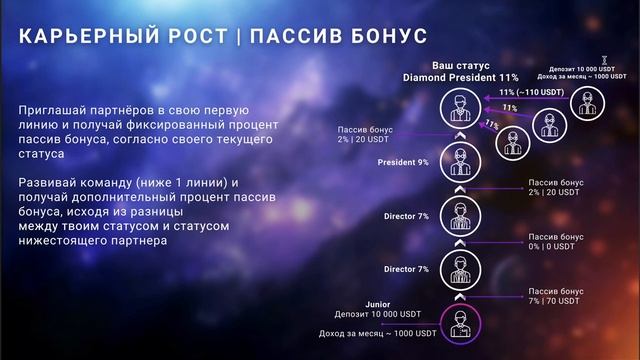Маркетинг компании VINEX TRADE (Українською мовою)
