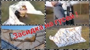 Тест засидки на гусей. Улучшения.