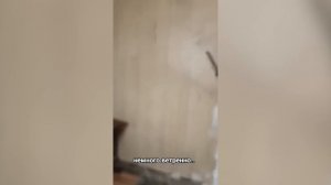 Slav Memes Compilation #19 / Wild memes / Best memes 2024 for you