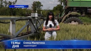 Мариуполь 24: Погектарная поддержка на выращивание зерновых культур и компенсация затрат