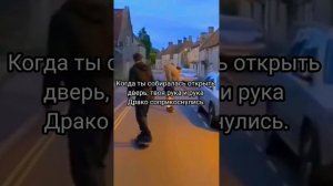 Фф про Драко Малфоя и Т/и "Обратный мир" 5 серия🐍💚