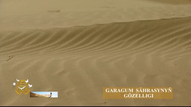 The beauty of the Karakum Desert смотреть онлайн