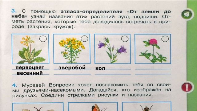 Окружающий мир. Рабочая тетрадь 4 класс 1 часть. ГДЗ стр. 71 №3