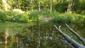 Село "Маклок"/Кордон Кожевенный(26.06.20)