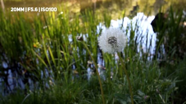 ЛУЧШИЙ ШИРИК Sigma 10-20mm f/4-5.6 Полный Обзор смотреть онлайн