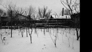 Зимняя прививка плодовых деревьев, ПОДВОЙ, приобретение подвоя, Астрахань 2022г. ч-2