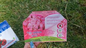 От ВСЕХ БОЛЕЗНЕЙ и ВРЕДИТЕЛЕЙ! СУПЕР коктейль для обработки роз 5 в 1