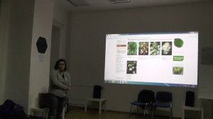 Декоративные кустарники Северо-Запада: часть 2