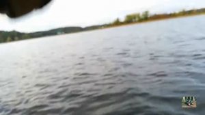 селигер рыбалка жор окуня #1