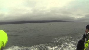 Исландия. День 09-05. Husavik. Наблюдение за китами