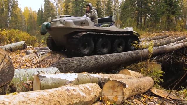 Дорога. Заповедник Васюганский смотреть онлайн