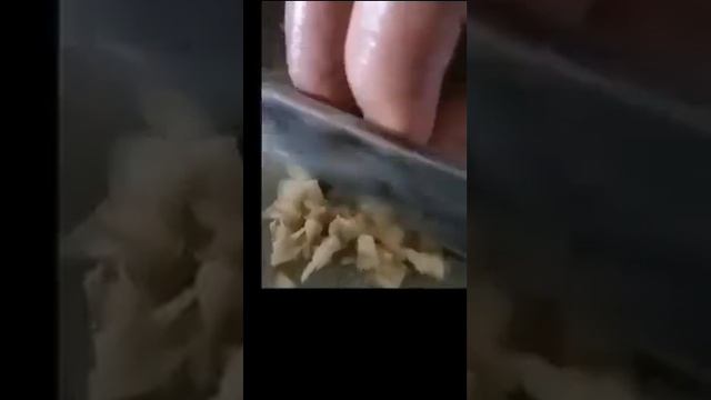 Kanot kanot смотреть онлайн