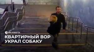 Квартирный вор украл собаку