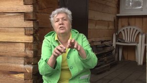 Голова садовая - Подготовка почвы для гладиолусов