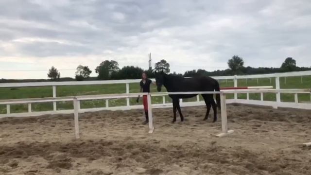 Дайкири. Характер смотреть онлайн