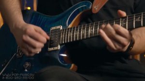 Гитарная педаль Electro Harmonix Canyon Delay & Looper