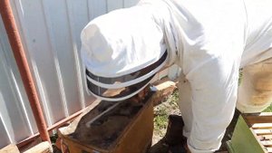 Отбор медовых рамок и сборка гнезда в зиму , в ульях Рута. (12.08.2020 г)