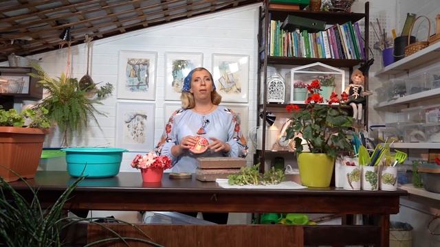 Черенкуем герань смотреть онлайн