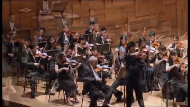 Brahms Violin Concerto, Op.77 - I. Allegro non troppo (D major) смотреть онлайн