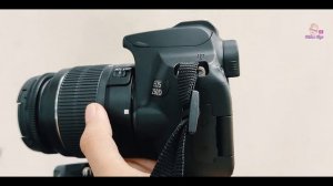 ?? Canon 250D in Depth Full review in Sinhala | Best Budget 4k Camera 2021 Sri Lanka ?