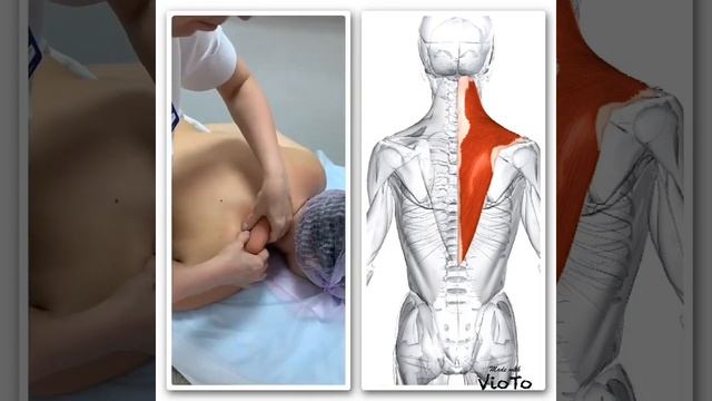 Массаж верхней части спины смотреть онлайн